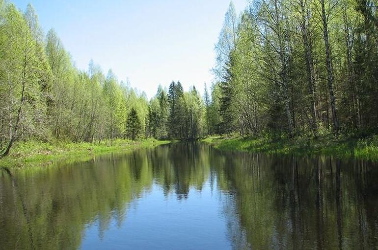 Кем на самом деле была Кикимора: эволюция образа. Фото №10