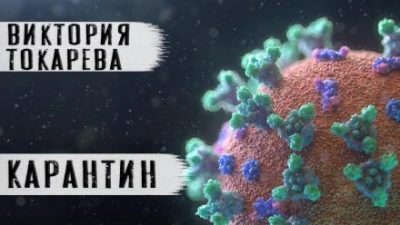 Карантин - Виктория Токарева - <a href=