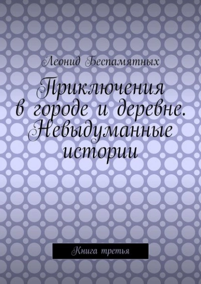 Приключения в городе и деревне. Невыдуманные истории - Леонид Беспамятных - <a href=