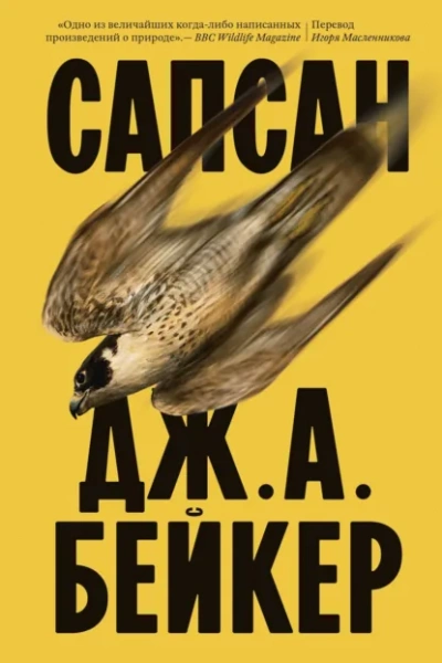 Сапсан - Джон Алек Бейкер