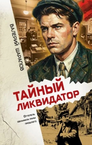 Тайный ликвидатор - Жоголь Сергей